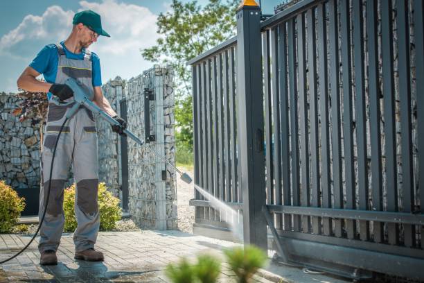 Best Spring Cleaning  in Caro, MI